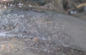 &Изображение1 1.jpg