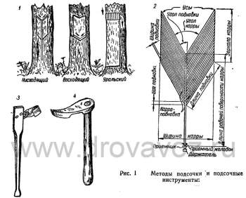 metody-podsochki-i-podsochnye-instrumenty.jpg