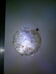 самолет 2.jpg