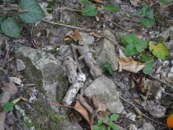 DSC_2090.JPG