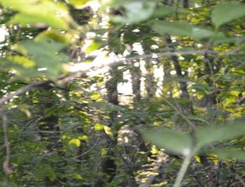 DSC_2106.JPG