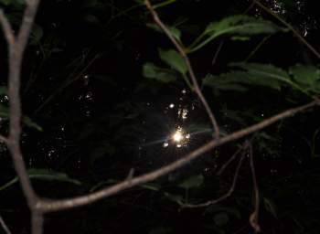 DSC_2107.JPG