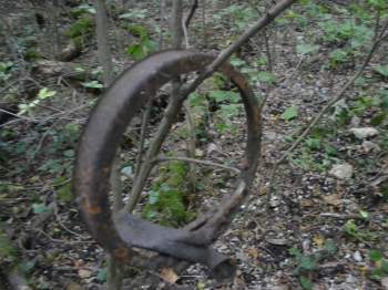 DSC_2121.JPG