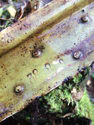 номер три.jpg