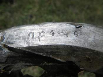 IMGP0121.JPG