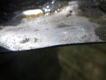 IMGP0128.JPG