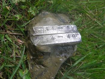 IMGP0131.JPG