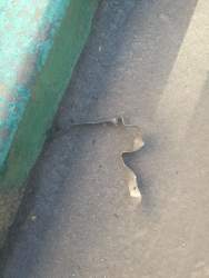 IMG_20180427_085111 — копия.jpg