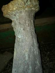 IMG_20180428_205953 — копия.jpg