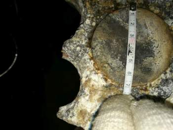 IMG_20180428_210855 — копия.jpg