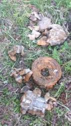 120180527_180657.jpg