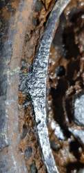 IMG-20180603-WA0002.jpg