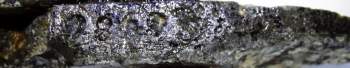 DSC00391.JPG