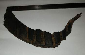 фото протектор 1.JPG