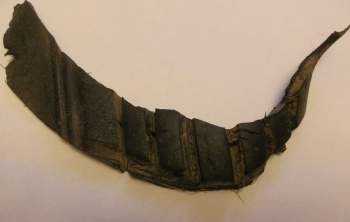 фото протектор 2.JPG