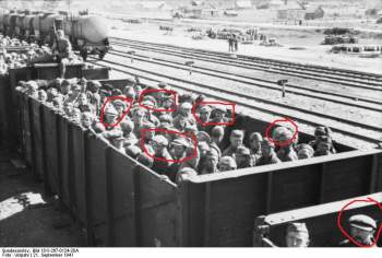 800px-Bundesarchiv_Bild_101I-267-0124-20A,_Russland,_Transport_sowjetischer_Kriegsgefangener_in_Güterwagen.jpg