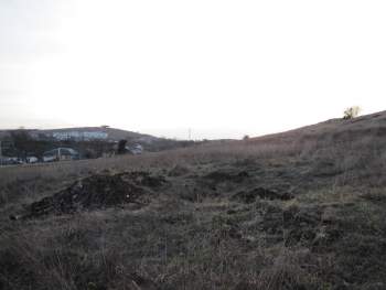IMG_1959.JPG