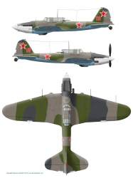 il2m3-bp-fl-am-19whitenose.jpg