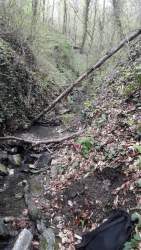 20190416_132452.jpg