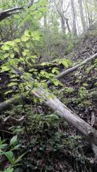20190416_143000.jpg