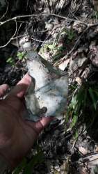20190424_081158.jpg