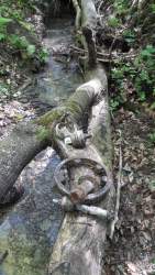 20190424_104636.jpg