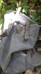 20190424_131712.jpg