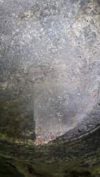 20190424_135340.jpg