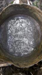 20190426_123057.jpg