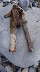IMG-20190409-WA0001.jpg