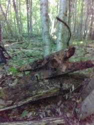 2019-06-01 18-07-11.JPG