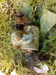 2019-06-14 17-31-29.JPG