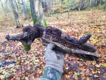 20181028_102639.jpg