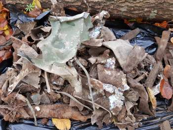 20181028_163345.jpg