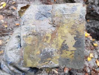 20181105_103157.jpg