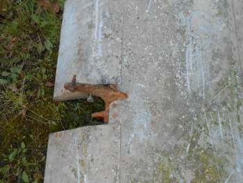 DSCN4937.jpg