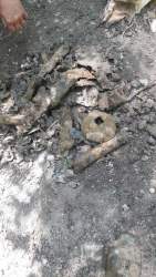 20180429_114835.jpg