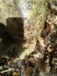 IMG-20180209-WA0011.jpg