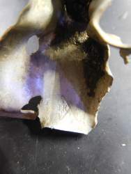 DSCN1509.JPG