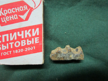 IMG_3689 - 800 - размер обломка.png