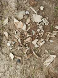 2020-05-15 12-55-02.JPG