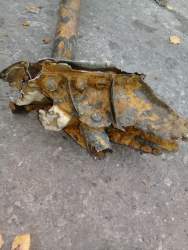 IMG-20201103-WA0007.jpg