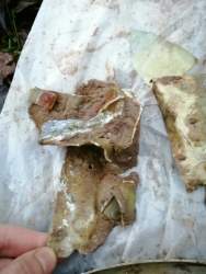 IMG-20201104-WA0004.jpg