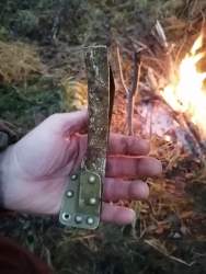 IMG-20201104-WA0009.jpg