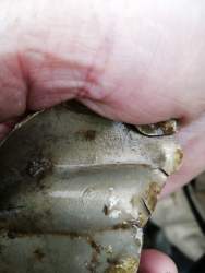 IMG-20201104-WA0014.jpg