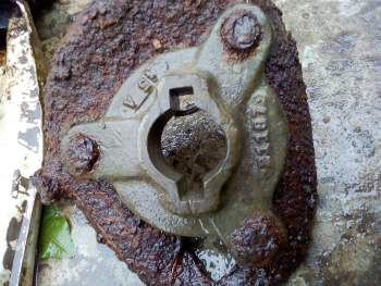 IMG_20201102_150355.jpg