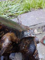IMG_20201102_150601.jpg