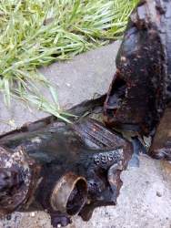 IMG_20201102_150606.jpg