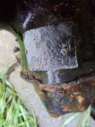 IMG_20201102_150657.jpg