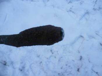 115.JPG
